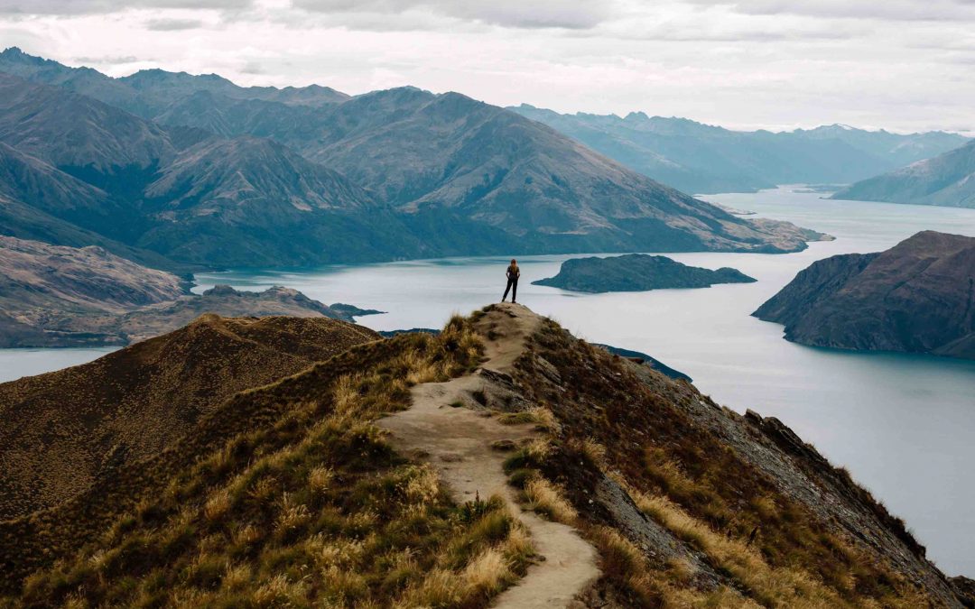 最新边境豁免政策